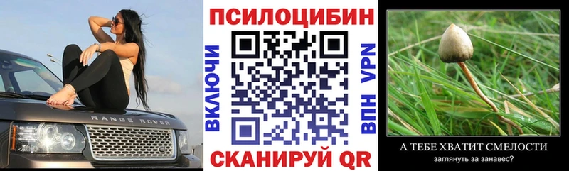 Галлюциногенные грибы Psilocybe  Купить где  Лабытнанги 